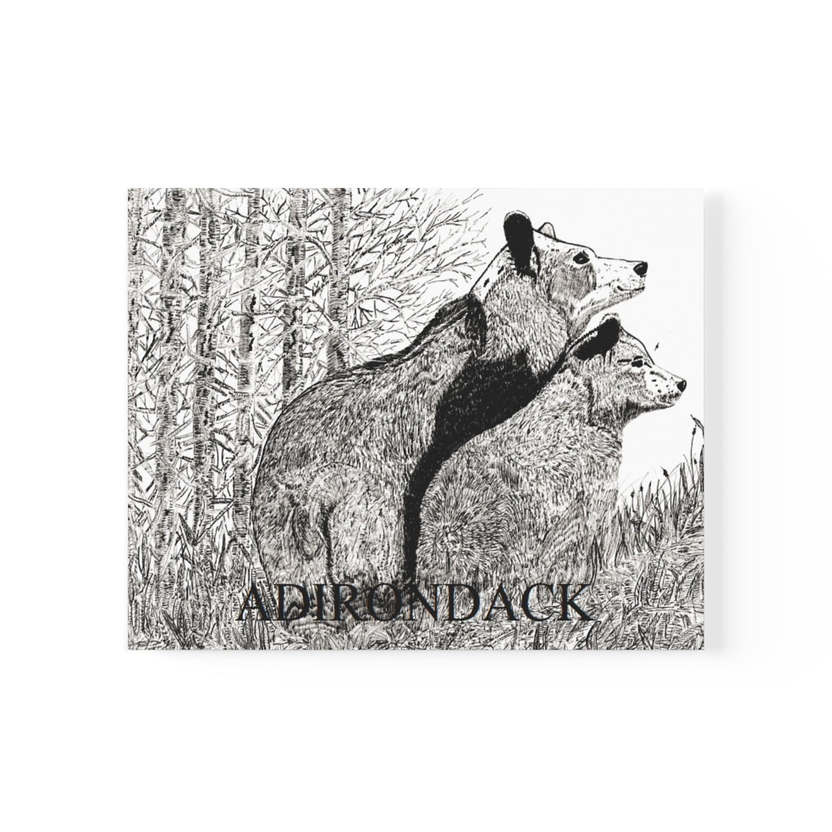 JanssenARTS Adirondack Black Bears Print