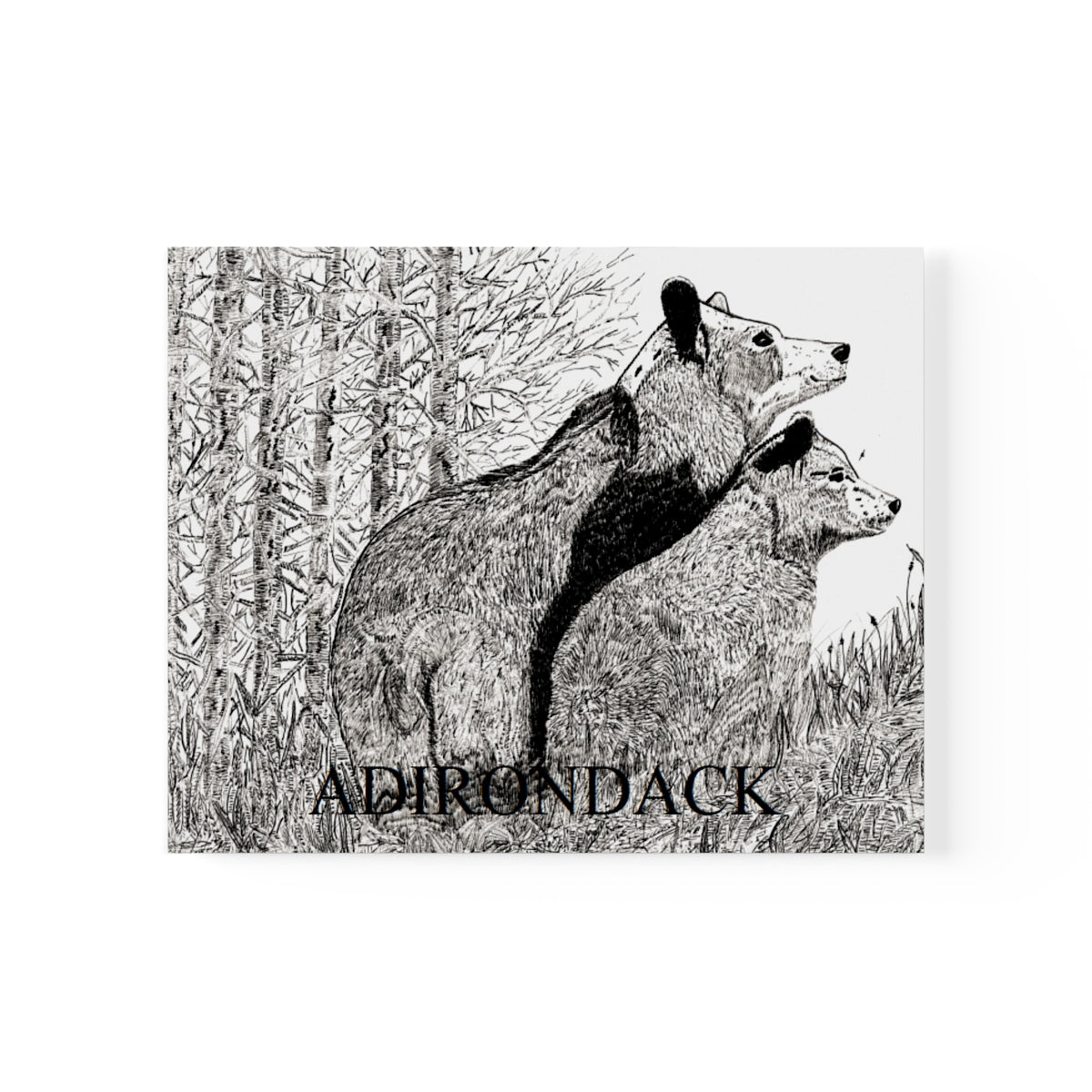 JanssenARTS Adirondack Black Bears Print