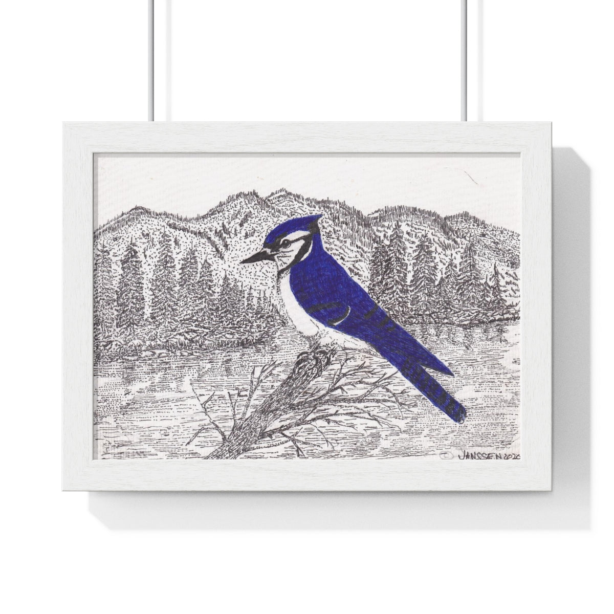 JanssenARTS ADK Blue Jay Framed Print