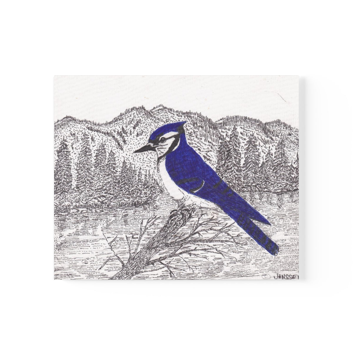 JanssenARTS ADK Blue Jay Print