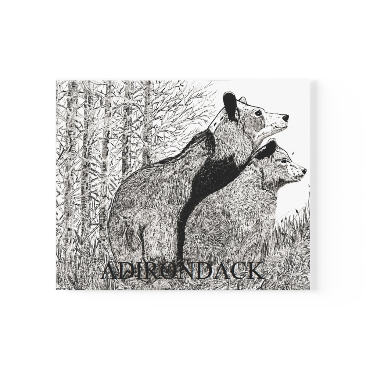 JanssenARTS Adirondack Black Bears Print