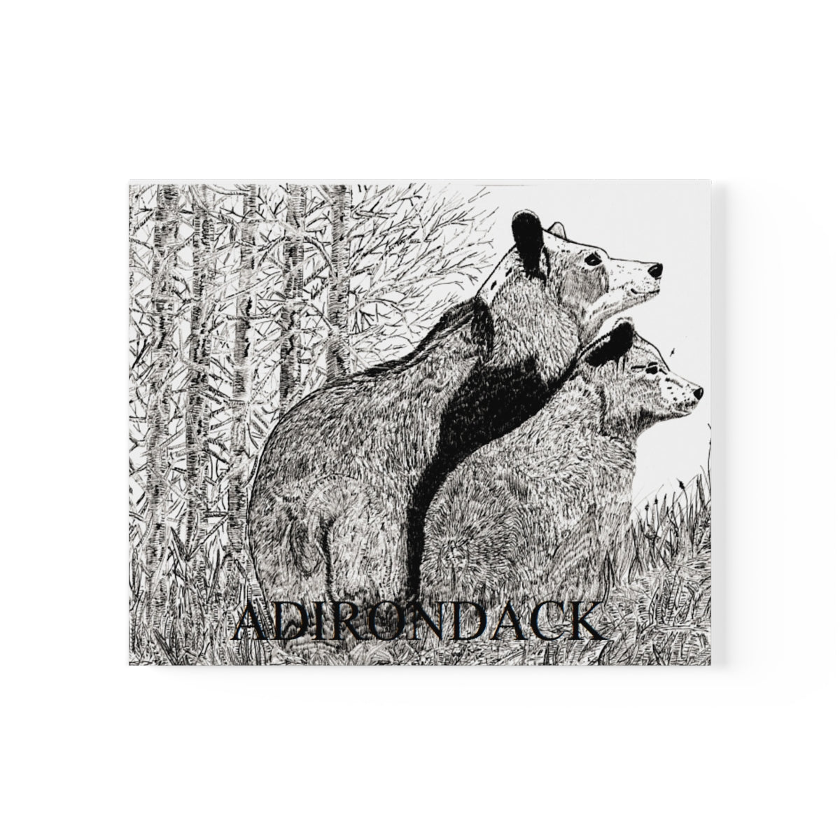 JanssenARTS Adirondack Black Bears Print