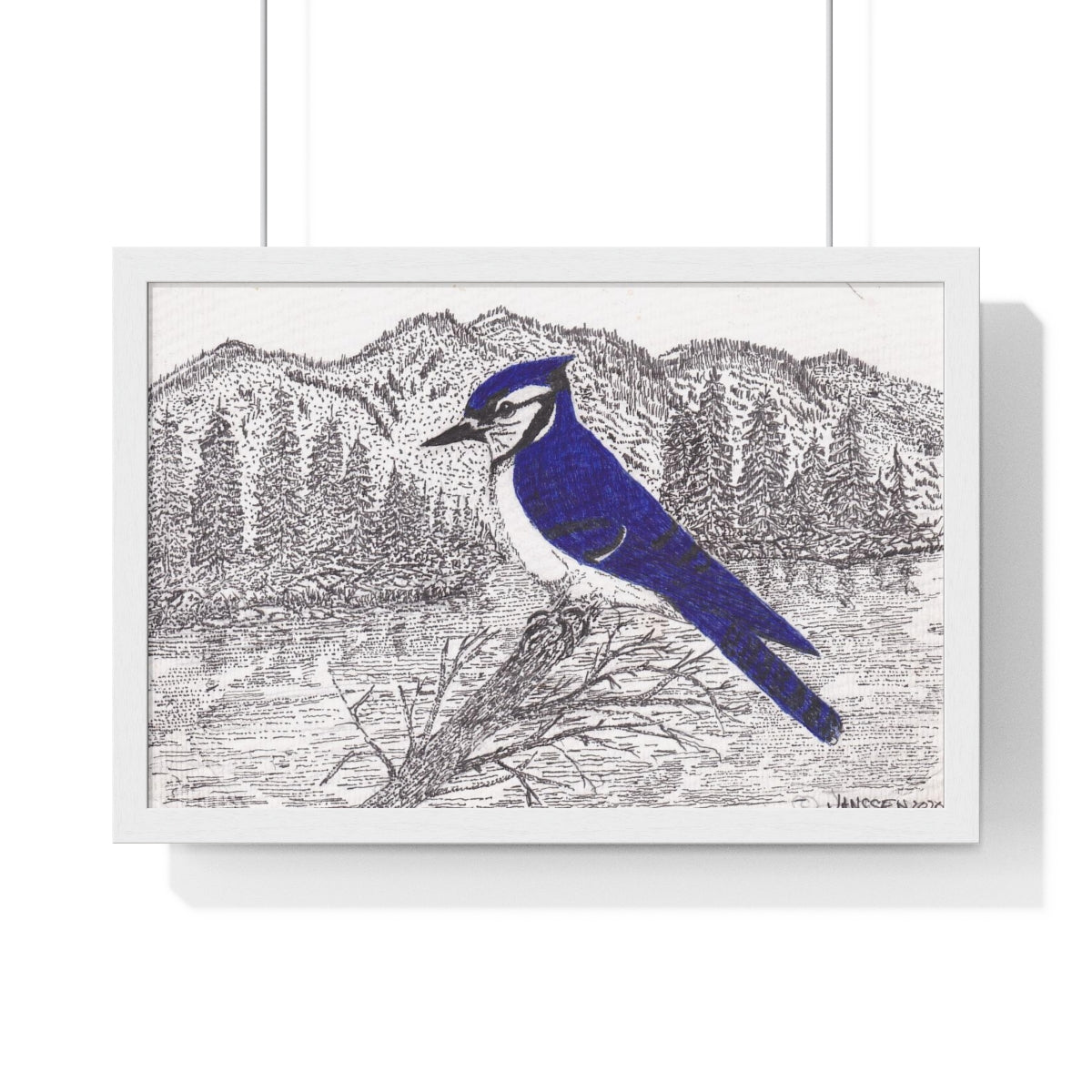 JanssenARTS ADK Blue Jay Framed Print