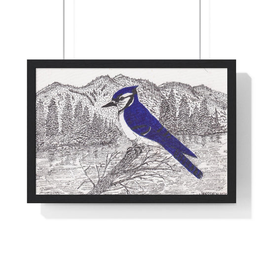 JanssenARTS ADK Blue Jay Framed Print