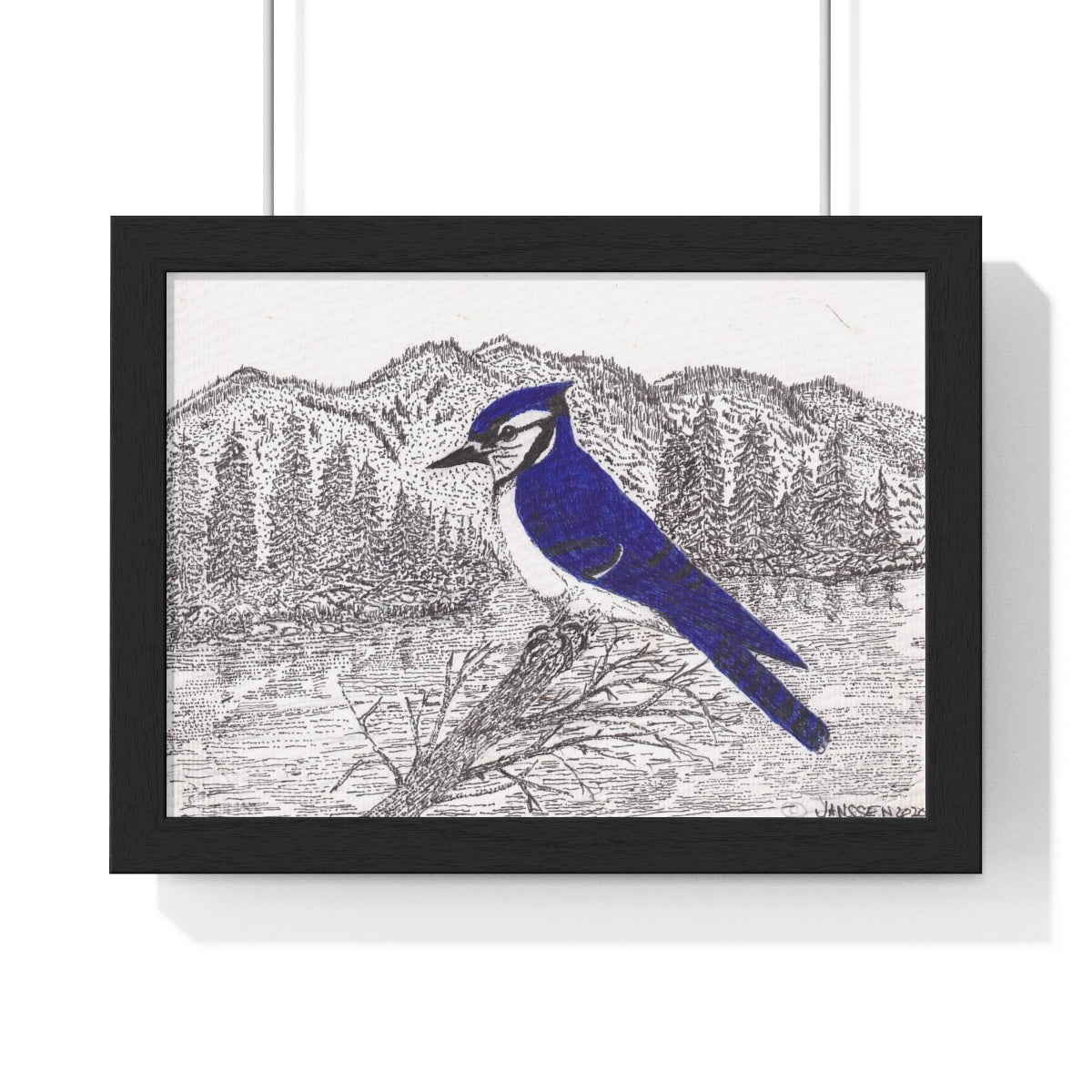 JanssenARTS ADK Blue Jay Framed Print